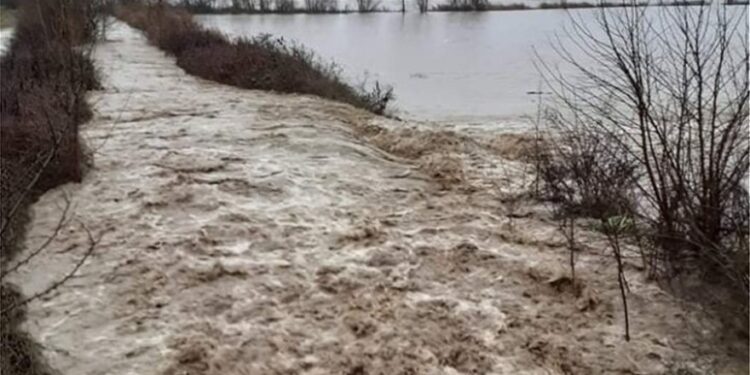 ΠΟΛΙΤΙΚΟ ΚΟΥΣ ΚΟΥΣ – Βούλιαξε ο Έβρος – Τεράστια προβλήματα από την κακοκαιρία