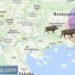 1.5 χλμ. από τον ποταμό Έβρο επιβεβαιώθηκε εστία αφρικανικής πανώλης των χοίρων σε αγριόχοιρους