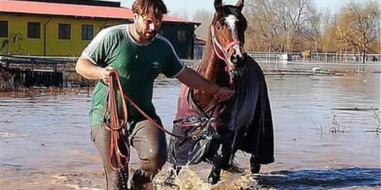 Σέρρες: Πρώην βουλευτής διασώζει άλογα που κινδύνευαν με πνιγμό