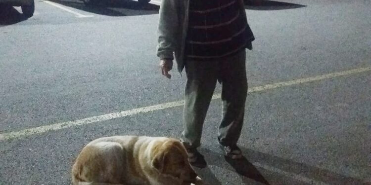 ΣΦΗΝΑΚΙΑ ΚΑΙ ΛΑΒΡΑΚΙΑ