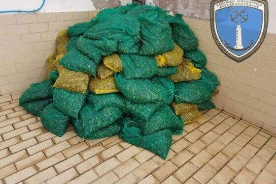 Μεγάλη ποσότητα από ακατάλληλα όστρακα για  πώληση κατασχέθηκε στην Αλεξανδρούπολη