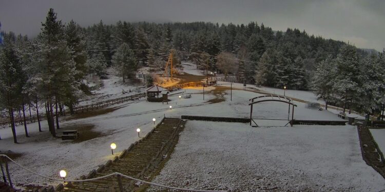 ΣΦΗΝΑΚΙΑ ΚΑΙ ΛΑΒΡΑΚΙΑ