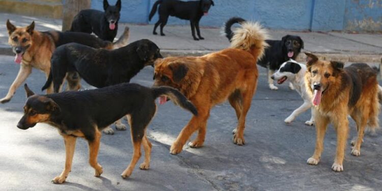 Σσσσσ….Ψίθυροι – Απατεώνας εξαπάτησε Ξανθιώτισσα και πήρε από τον λογαριασμό της 1.200 ευρώ