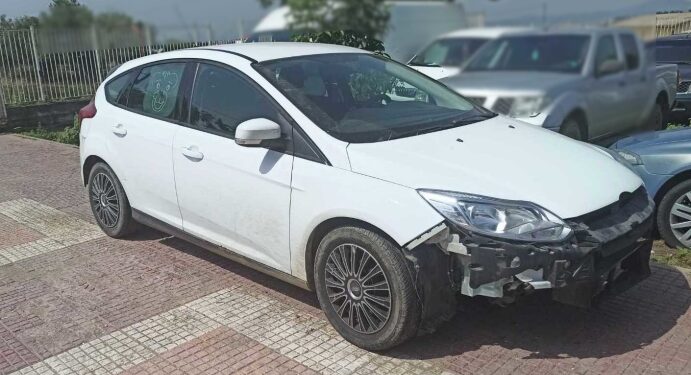 Συνελήφθησαν σε Έβρο και Ροδόπη 4 διακινητές οι οποίοι μετέφεραν, σε τρεις διαφορετικές περιπτώσεις, 19 παράνομους μετανάστες
