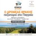 Ο ΔΡΟΜΕΑΣ ΘΡΑΚΗΣ πεζοπορεί στο Παγγαίο στις 20/6