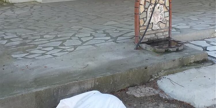 Κεραμωτή: Πώς σώθηκε το αρνάκι που  άφησαν ασφυκτικά δεμένο σε εκκλησία