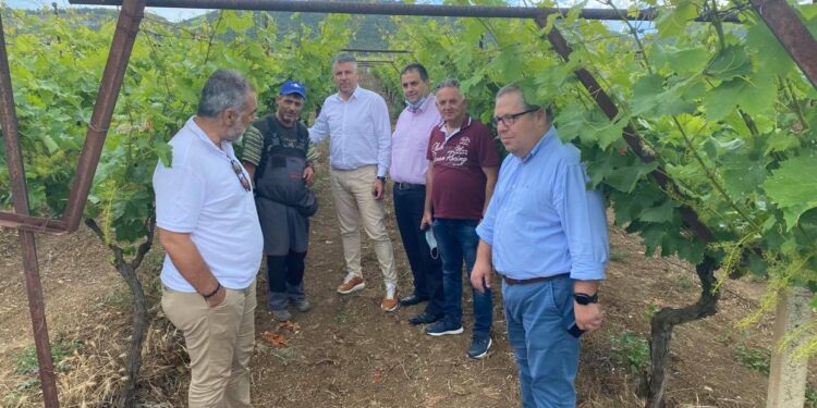Επίσκεψη της «Περιφερειακής Σύνθεσης» σε περιοχές του Ν. Καβάλας που επλήγησαν από χαλαζόπτωση