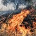 ΔΙΟΙΚΗΤΙΚΟ ΠΡΟΣΤΙΜΟ από την Πυροσβεστική Υπηρεσία Ξάνθης  γιατί έκαιγε… χόρτα στο νέο Ζυγό Ξάνθης!