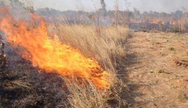 ΝΕΟ ΔΙΟΙΚΗΤΙΚΟ ΠΡΟΣΤΙΜΟ για καύση ξερών χόρτων, επέβαλε η Πυροσβεστική Υπηρεσία, αυτή τη φορά σε κάτοικο Πόρτο Λάγος!