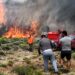 Ο Σύλλογος Γυναικών Ν. Ξάνθης (μέλος ΟΓΕ) εκφράζει έμπρακτα την αλληλεγγύη του στους πυρόπληκτους με συλλογή ειδών πρώτης ανάγκης!