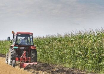 ΞΑΝΘΙΩΤΙΚΑ ΠΑΡΑΣΚΗΝΙΑ – ΣΗΜΕΡΑ (10.00) ΣΤΑ ΜΑΓΓΑΝΑ, Η ΚΗΔΕΙΑ ΤΟΥ ΑΔΙΧΑΜΕΝΟΥ ΧΑΡΗ ΜΠΑΤΖΙΟΥ ΠΟΥ ΕΦΥΓΕ ΣΕ ΗΛΙΚΙΑ 37 ΧΡΟΝΩΝ ΑΠΟ ΑΝΑΚΟΠΗ