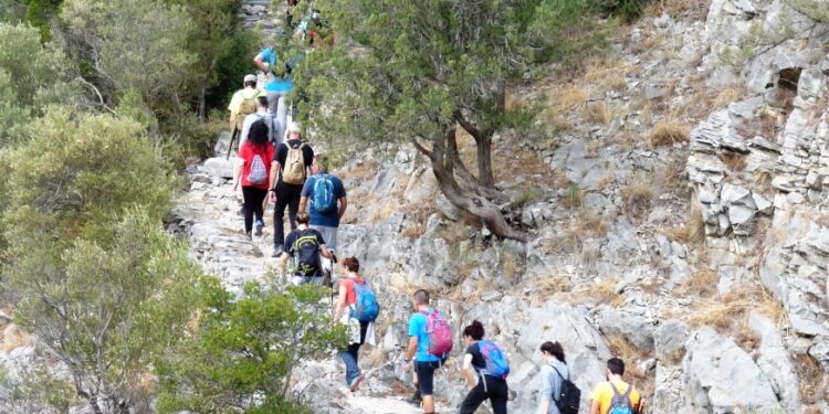 ΣΦΗΝΑΚΙΑ ΚΑΙ ΛΑΒΡΑΚΙΑ