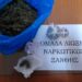 Με το ΚΤΕΛ μετέφεραν κάνναβη που διακινούσαν στην Ξάνθη