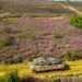 Ξάνθη: Εντυπωσιακή άσκηση Ελλάδας  – ΗΠΑ με άρματα μάχης – Η 24η Επιλαρχία Μέσων Αρμάτων στην πρώτη θέση
