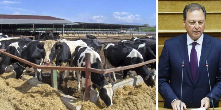 ΚΤΗΝΟΤΡΟΦΟΙ ΑΜΘ σε ΛΙΒΑΝΟ: Δυστυχώς μέχρι σήμερα η ανταπόκρισή σας στα αιτήματά μας, είναι απογοητευτική και μηδενική!