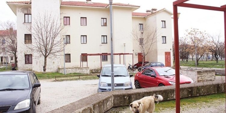 ΔΠΘ: Εκπόνηση μελέτης για την περίφραξη του χώρου της Πανεπιστημιούπολης Κομοτηνής, για να μην μπαίνουν μέσα τα… αδέσποτα!