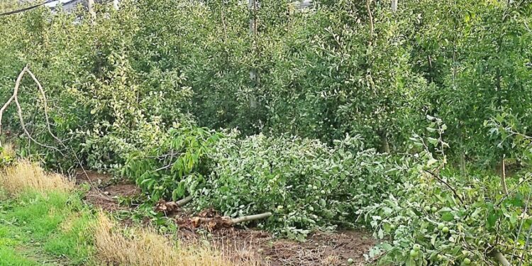 Σσσσσ…..Ψίθυροι – Καβάλα: Νεκρή 66χρονη γυναίκα στην παραλία της Ραψάνης