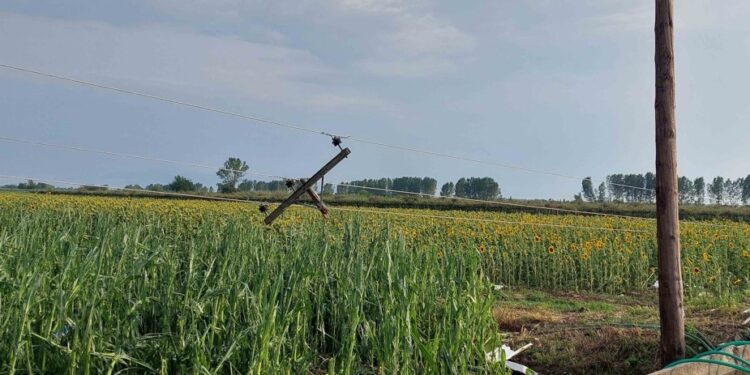 Κατέθεσε ο βουλευτής Κώστας Χήτας.  ΕΡΩΤΗΣΗ ΕΛΛΗΝΙΚΗΣ ΛΥΣΗΣ ΣΤΗ ΒΟΥΛΗ  ΓΙΑ ΤΙΣ ΚΑΤΑΣΤΡΟΦΕΣ ΣΤΗΝ ΠΕΡΙΟΧΗ ΤΟΥ  ΤΟΠΕΙΡΟΥ ΑΠΟ ΤΑ ΑΚΡΑΙΑ ΦΑΙΝΟΜΕΝΑ