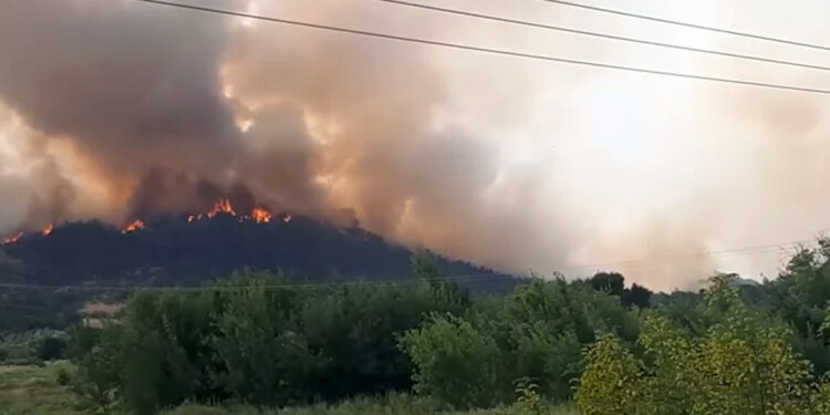 Φωτιά στον Έβρο: Βόρεια προς Δαδιά το ενεργό μέτωπο – Στη «μάχη» 10 εναέρια μέσα