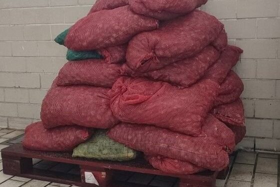 52χρονος στην Αλεξανδρούπολη συνελήφθη την στιγμή που φόρτωνε 30 σακιά ακατάλληλα όστρακα