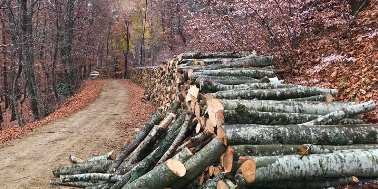 ΚΚΕ Ξάνθης: Συνάντηση με μέλη των Συνεταιρισμών Υλοτόμων