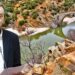 Δημήτρης Χαρίτου: Επίσημη παραδοχή από την κυβέρνηση ότι έχει εγκαταλειφθεί η υλοποίηση του Φράγματος Κομψάτου
