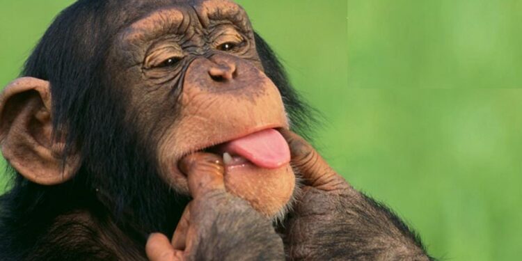 Ο καθηγητής του ΔΠΘ Β. Τσαουσίδης γελειοποίησε μαϊμού δημοσκόπηση “ομάδας” της google forms για τις βουλευτικές εκλογές στη Ξάνθη!