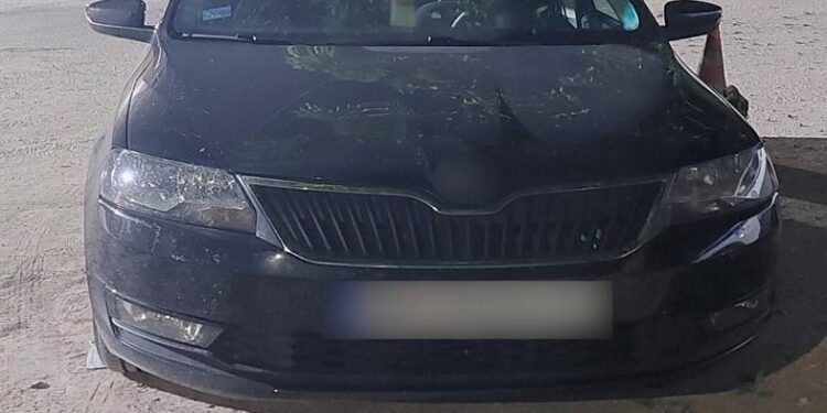 Συνελήφθησαν 5 διακινητές σε Ροδόπη, Έβρο και Καβάλα για διακίνηση 31 λαθρομεταναστών.