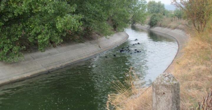 ΔΙΚΑΙΩΝΕΤΑΙ Ο ΑΛΕΞΑΝΔΡΟΣ ΚΟΝΤΟΣ!  Προχωράει το αρδευτικό έργο στην Ξάνθη – Ποιοι εκδήλωσαν ενδιαφέρον