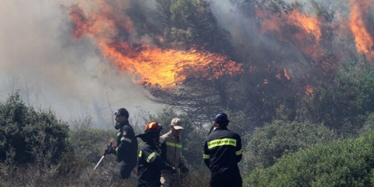    Υψηλός κίνδυνος πυρκαγιάς στην Ξάνθη – Λήψη προληπτικών μέτρων, τι αναφέρει η Περιφερειακή Ενότητα Ξάνθης
