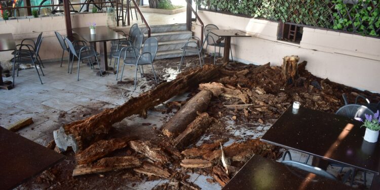 ΦΥΛΑΕΙ ΚΑΝΕΙΣ ΤΟ ΔΑΣΟΣ;  Πήγαν να «κάψουν» την “Ξανθίππη”  και το Περιαστικό Δάσος Ξάνθης!   