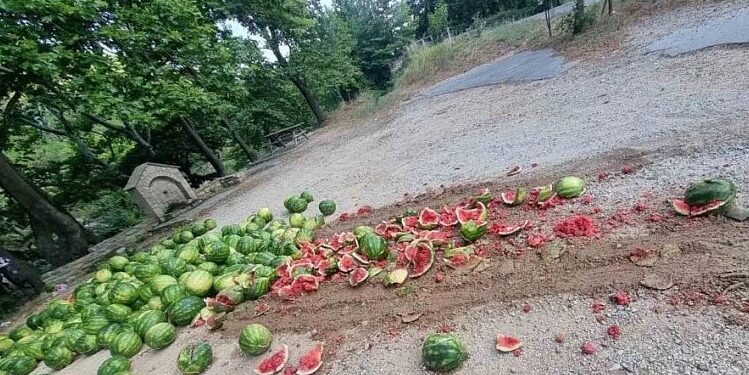 Έκλεψε φορτηγό με καρπούζια και τα πέταξε για να μεταφέρει λαθρομετανάστες