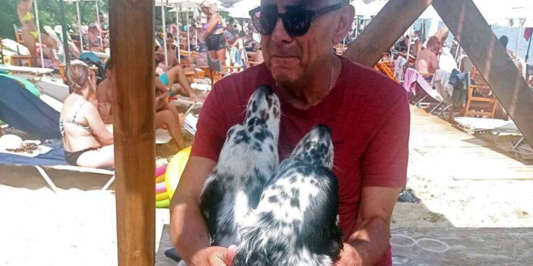 Καβάλα: Δύο σκυλιά δεμένα μεταξύ τους σκάλωσαν σε σημαδούρα.  Κινητοποίηση από τον κόσμο για να μην πνιγούν