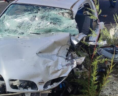 Τι λέει η αστυνομία για το θανατηφόρο τροχαίο στον κόμβο Αρδανίου – Εγνατίας οδού, για τον 22χρονο αλλοδαπό που μπήκε στο αντίθετο ρεύμα κυκλοφορίας.