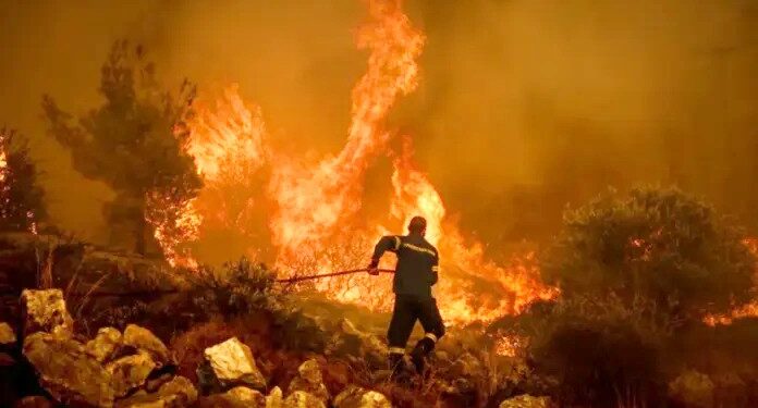 Σσσς Ψίθυροι. Δυο γυναίκες μετέφεραν ναρκωτικά από Θεσσαλονίκη σε Ξάνθη με το ΚΤΕΛ! -Τέσσερις συλλήψεις στην Αλεξανδρούπολη για ναρκωτικά