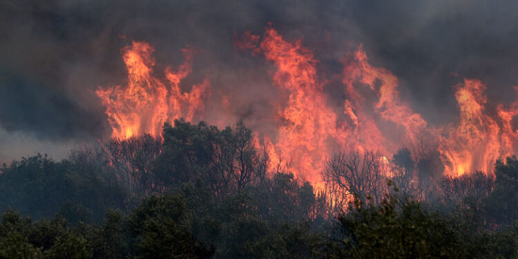 Ανεξέλεγκτα συνεχίζει να καίει τα πάντα στο πέρασμά της η πύρινη λαίλαπα στον Έβρο!