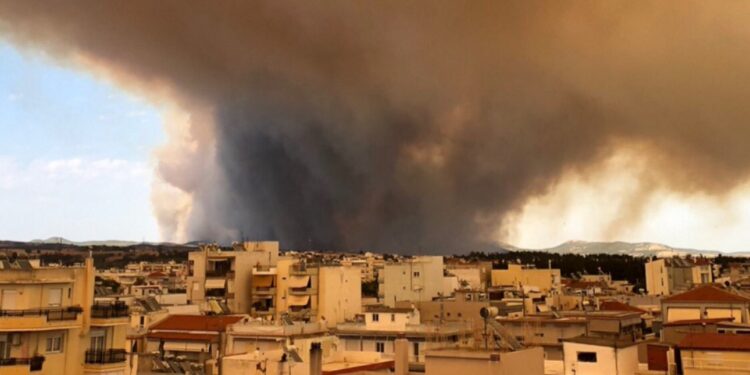 Φωτιά – Αλεξανδρούπολη: Σώθηκε τελευταία στιγμή το Δωρικό!