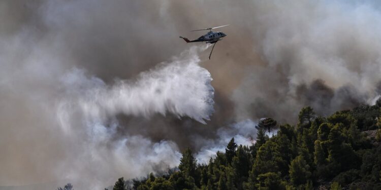 Μάχη με τις φλόγες σε Εύβοια, Βοιωτία, Έβρο, Ροδόπη και Καβάλα -Όλες οι εξελίξεις