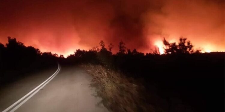 Λαγουβάρδος: Η δασική πυρκαγιά στον Έβρο η μεγαλύτερη των τελευταίων ετών στην Ευρώπη