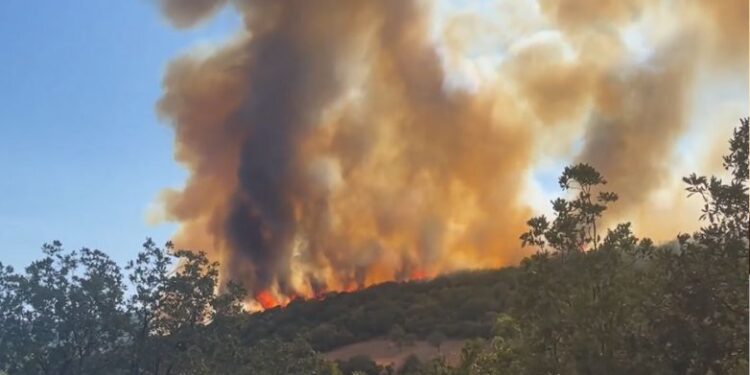 Ροδόπη: Πυρκαγιά στην περιοχή Πάτερμα στον Δήμο Αρριανών Ροδόπη