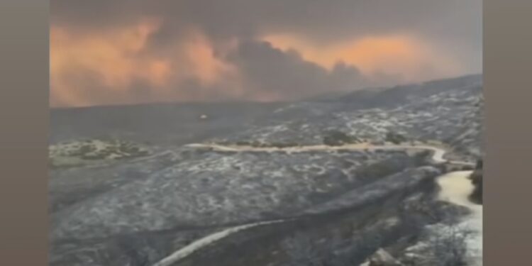 Δέσποινα Βανδή για τις φωτιές στον Έβρο: «Θλιβερό»