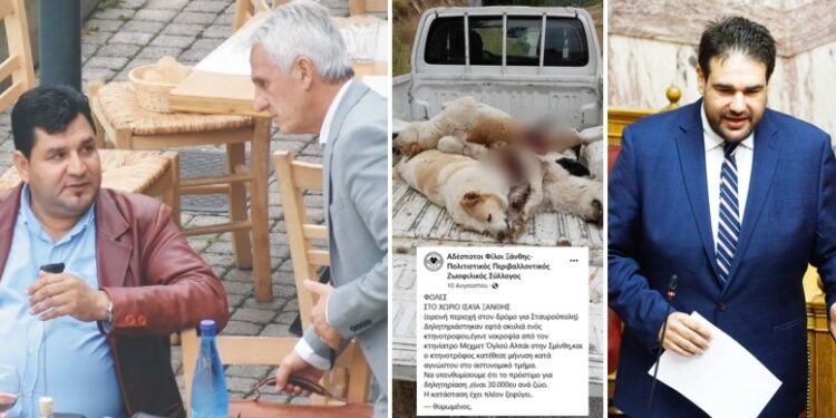 ΤΙ ΛΕΦΤΑ ΠΗΡΕ Ο ΔΗΜΟΣ ΞΑΝΘΗΣ για τα αδέσποτα και ως συνήθως… δεν έκανε τίποτα! Η απάντηση του Θόδωρου Λιβάνιου!