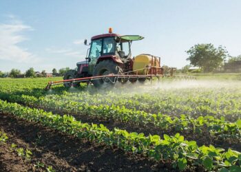 ΞΑΝΘΙΩΤΙΚΑ ΠΑΡΑΣΚΗΝΙΑ – Χαμός έγινε με το σχόλιο συμπολίτισσας στο fb για την…προμήθεια που της κράτησε ταβέρνα όταν πλήρωσε το λογαριασμό της με κάρτα.