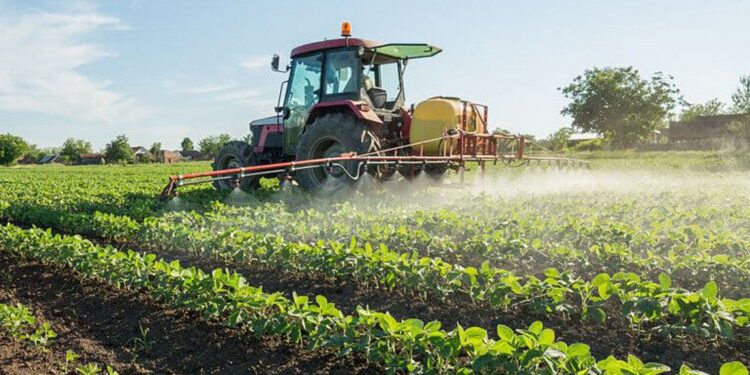 ΞΑΝΘΙΩΤΙΚΑ ΠΑΡΑΣΚΗΝΙΑ – Χαμός έγινε με το σχόλιο συμπολίτισσας στο fb για την…προμήθεια που της κράτησε ταβέρνα όταν πλήρωσε το λογαριασμό της με κάρτα.