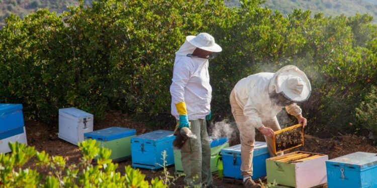 ΕΡΩΤΗΣΗ ΛΑΪΚΗΣ ΣΥΣΠΕΙΡΩΣΗΣ ΣΤΟΝ ΤΟΨΙΔΗ ΓΙΑ ΤΑ ΠΡΟΒΛΗΜΑΤΑ ΤΩΝ ΜΕΛΙΣΣΟΚΟΜΩΝ ΤΗΣ ΑΜΘ