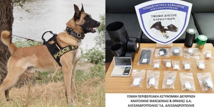 Συνελήφθησαν 11 άτομα για ναρκωτικά σε Ξάνθη, Αλεξανδρούπολη, Δράμα και Καβάλα