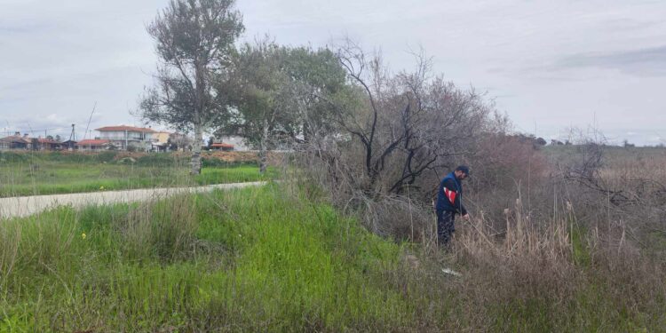 Ξεκίνησε η καταπολέμηση των κουνουπιών στην Περιφέρεια Ανατολικής Μακεδονίας και Θράκης