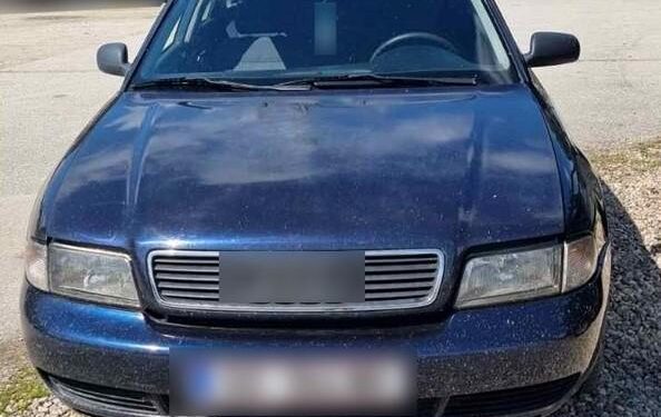 Συνελήφθη στον Έβρο αλλοδαπός διακινητής ο οποίος προωθούσε στη χώρα 9 λαθρομετανάστες