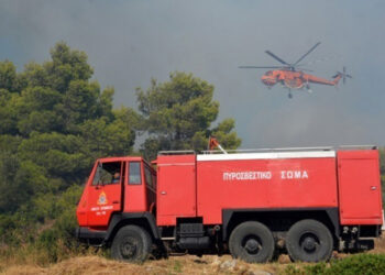 Φωτιά σε αγροτοδασική περιοχή στο Σουφλί Έβρου