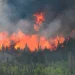 Συναγερμός στην Πυροσβεστική Ξάνθης -5 φωτιές σε μία ημέρα! Σε σπίτι στη πόλη και σε Κιμμέρια, Λευκόπετρα, Μάνδρα και περιοχή Δροσερού.